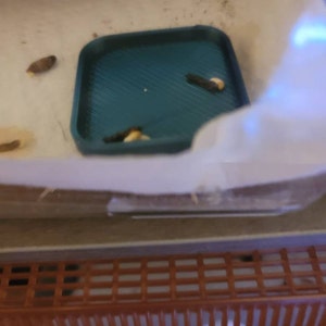 Tom added a photo of their purchase