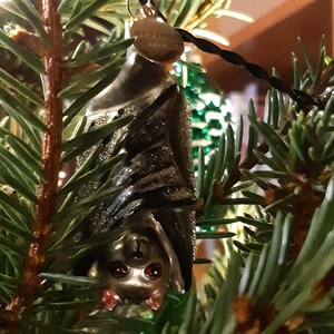 ☺︎ Srinish - Be true. Be wild. Be happy.🤗❤️😊 #behappy