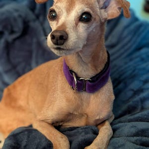 Comprador de Etsy ha añadido una foto de su compra