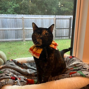 Paige added a photo of their purchase
