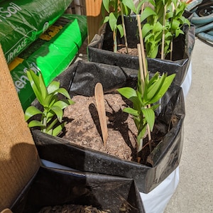 may added a photo of their purchase