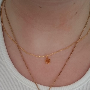 Amelia added a photo of their purchase