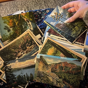 Rachel added a photo of their purchase