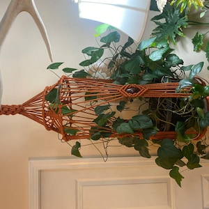Meredith added a photo of their purchase