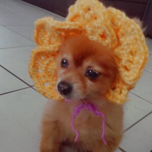 LARGE Custom Fancy Turban Cat/dog Hat Perfect for | Etsy