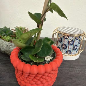Tracie added a photo of their purchase