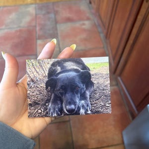 Claire added a photo of their purchase