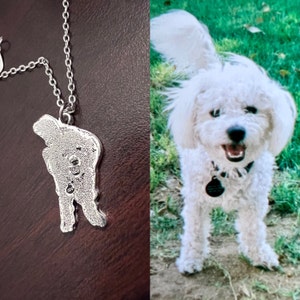 Erin added a photo of their purchase