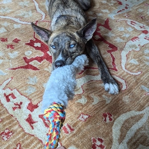 Thomas added a photo of their purchase