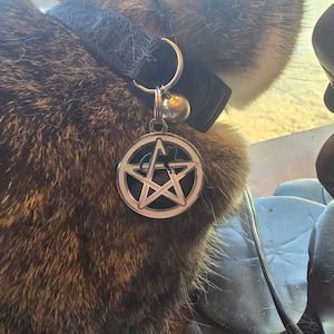 Suzie added a photo of their purchase