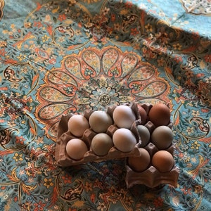 rasslck added a photo of their purchase