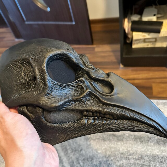 ヤナカーン Bird Skull Eye Socke BK BSK-001-04 Bird Skull Eye