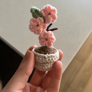 Madeleine added a photo of their purchase