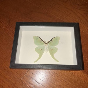 valerie added a photo of their purchase