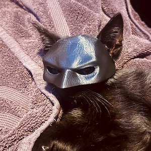 Disfraz Cosplay Máscara Negra Batman Batcat Para Gato Grande | Meses sin interés Disfraz Cosplay Máscara Negra Batman Batcat Para Gato Grande | Meses sin interés