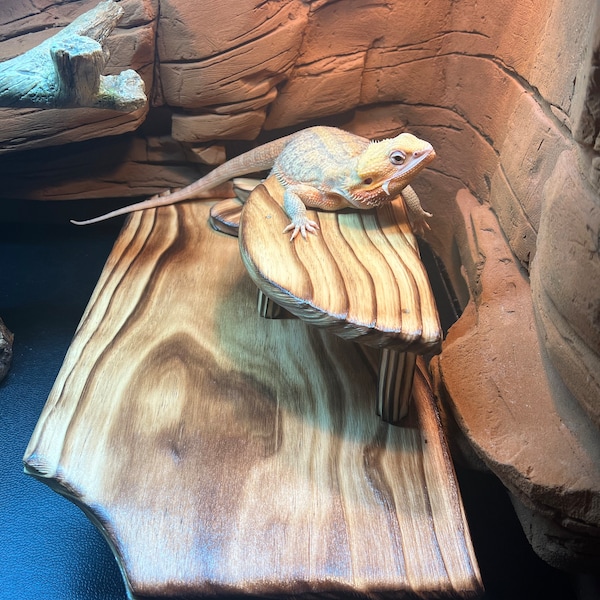 Square Hide With Ramp - Etsy