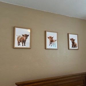 Shella added a photo of their purchase