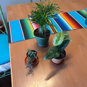 Katherine added a photo of their purchase