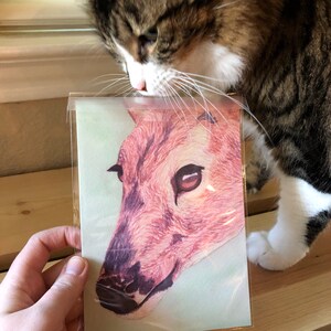 jess added a photo of their purchase