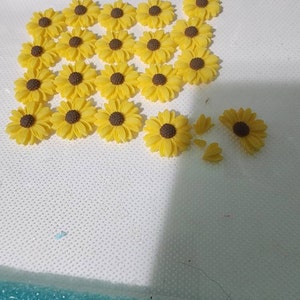 Mary added a photo of their purchase