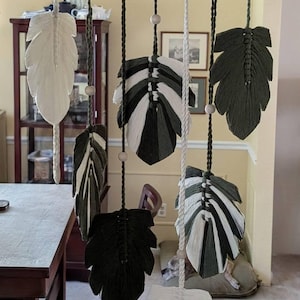 Moni added a photo of their purchase