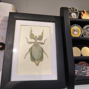 Florian hat ein Foto des gekauften Artikels hinzugefügt