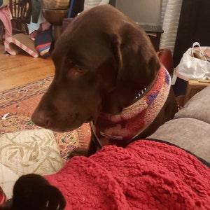 Tara added a photo of their purchase