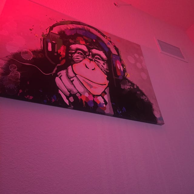 Thinking Monkey Wall Art, Dj Monkey Art, Music Lover Monkey Canvas