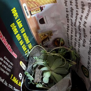 Mahtab added a photo of their purchase