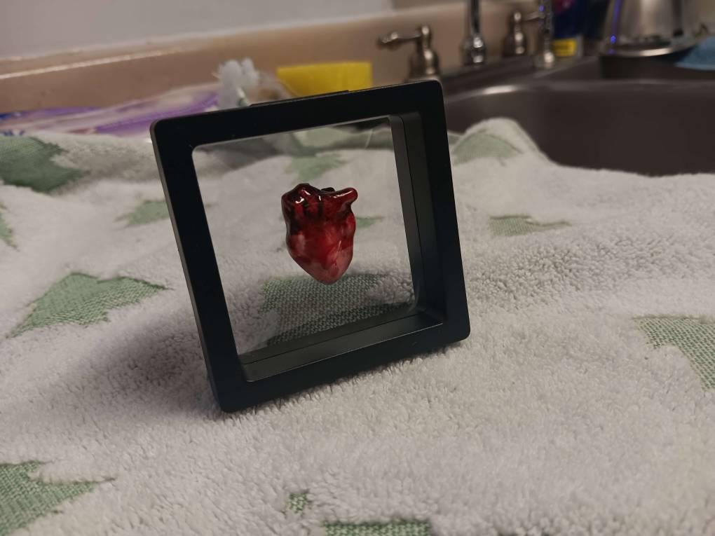 Life Size Human Heart,Handmade Heart,Realistic Heartc,Bloody Heart