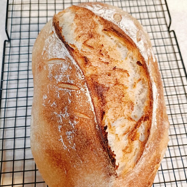 100-spelt-sourdough-bread-recipe-white-whole-grain-wholemeal-spelt