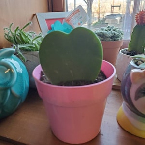 Kristin added a photo of their purchase