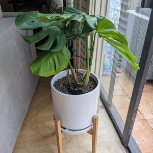Danielle added a photo of their purchase