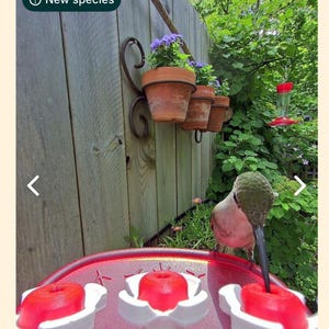 Janet added a photo of their purchase