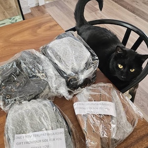 Hannah added a photo of their purchase