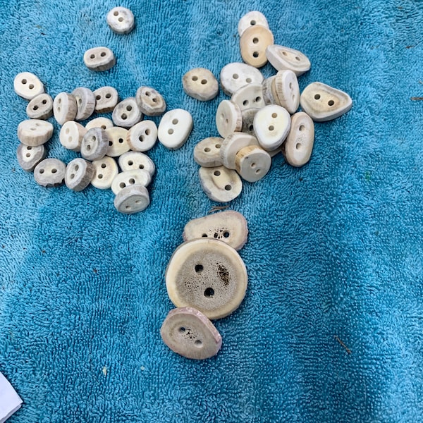 Crosscut Antler Button - Etsy