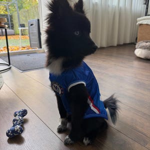 Snajpi added a photo of their purchase