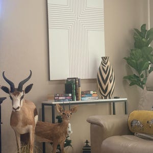 Mariel さんが購入した商品の写真を追加しました