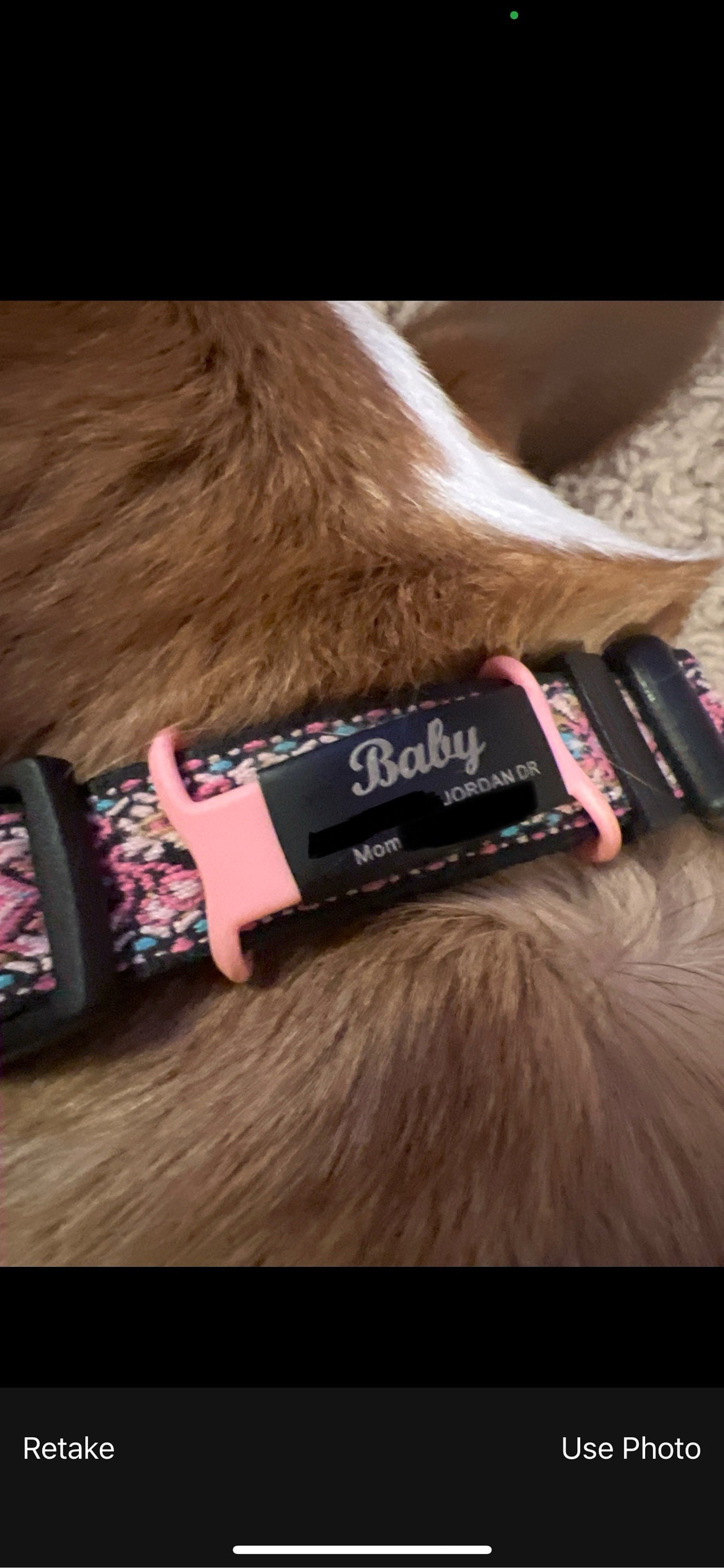 Custom Durable Slide Pet ID Tag🐶🐱,Personalized Name Silicone Dog Tag, Gift for Dog Owner