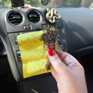 BIGWANDENERGY added a photo of their purchase