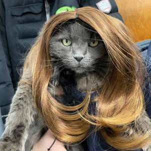 Cute Pet Wig for Dog or Cat / Halloween Pet Wig / Costume Dog  Etsy