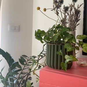 Veronica added a photo of their purchase