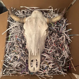 Kary added a photo of their purchase