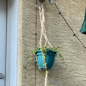 Elizabeth added a photo of their purchase
