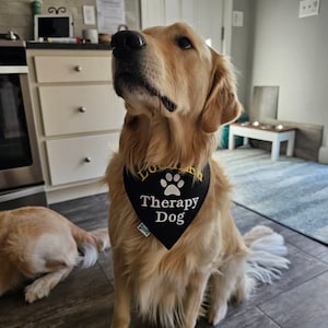 Jim added a photo of their purchase