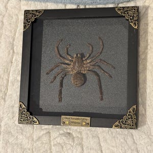 Jessica added a photo of their purchase