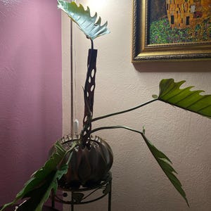 sheri added a photo of their purchase