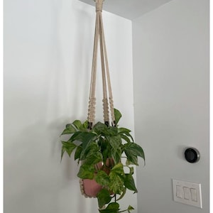 Tami added a photo of their purchase