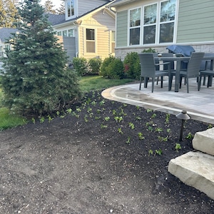 Elin adicionaram uma foto da sua compra