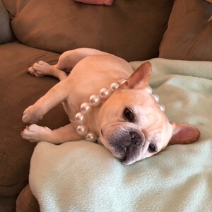 Tamara Evers added a photo of their purchase